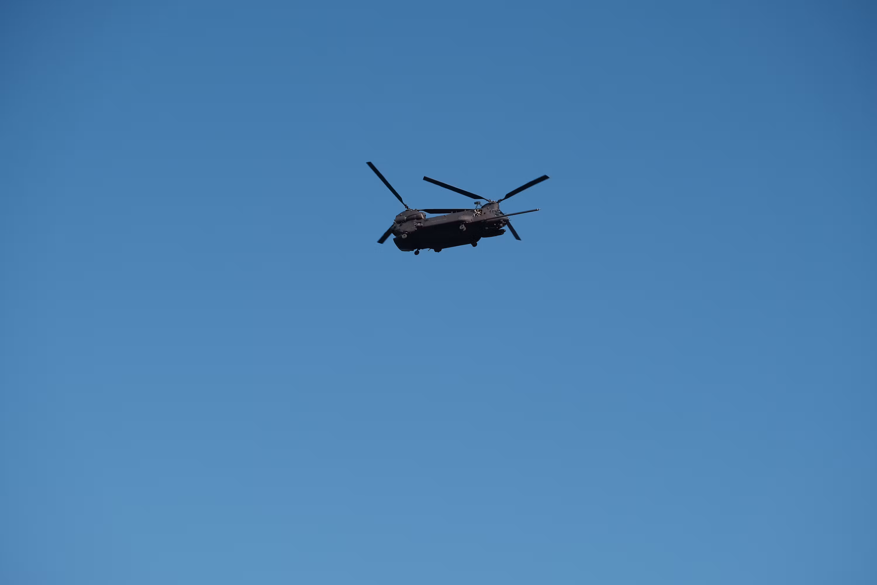 We saw a Chinook on the beach, it was huge.